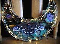Algopix Similar Product 3 - Calleta Moth with Amethyst Botanical