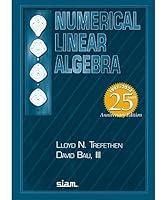 Algopix Similar Product 18 - Numerical Linear Algebra TwentyFifth