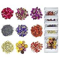 Algopix Similar Product 7 - YoleShy Dried Flowers Natural Dried
