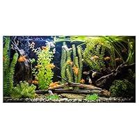 Algopix Similar Product 12 - Dizifinn Aquarium Background River Bed