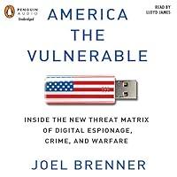 Algopix Similar Product 8 - America the Vulnerable Inside the New