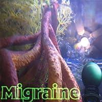 Algopix Similar Product 14 - Migraine  232  Root System 00_11_31