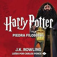 Algopix Similar Product 15 - Harry Potter y la piedra filosofal