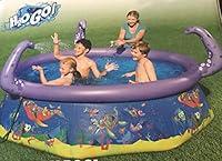 Algopix Similar Product 11 - H2O GO OCTO-Spray Pool