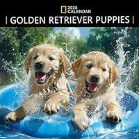 Algopix Similar Product 16 - Golden Retriever Puppies Calendar 2025