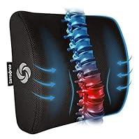 Algopix Similar Product 15 - SAMSONITE Lumbar Support Pillow For