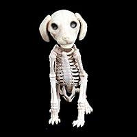 Algopix Similar Product 2 - Halloween Dog Skeleton Sculpture