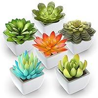 Algopix Similar Product 19 - Pack of 6  Mini Fake Succulents