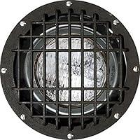 Algopix Similar Product 11 - Dabmar Lighting FG4320GRLMT