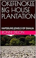 Algopix Similar Product 14 - OKEFENOKEE BIG HOUSE PLANTATION