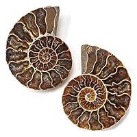 Algopix Similar Product 16 - KALIFANO Extinct Natural Polished