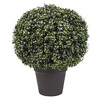 Algopix Similar Product 1 - Artificial Boxwood Plant  21Inch