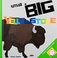 Algopix Similar Product 18 - small  BIG YELLOWSTONE Baby Ranger