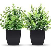 Algopix Similar Product 16 - ZJIA 2 Pack Small Fake Plants Black