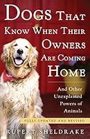 Algopix Similar Product 16 - Dogs That Know When Their Owners Are