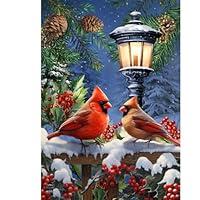 Algopix Similar Product 15 - Briarwood Lane Winter Glow Cardinals