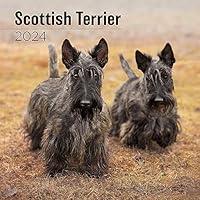 Algopix Similar Product 20 - MegaCalendars  Scottish Terrier