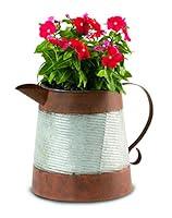 Algopix Similar Product 18 - Deer Park Ironworks CD115 Pitcher