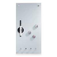 Algopix Similar Product 18 - Zeller Memobord with Hooks Glass 20 x 4