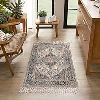 Algopix Similar Product 7 - Jessica Simpson Chenille Fringe Rug 