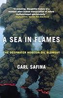Algopix Similar Product 13 - A Sea in Flames The Deepwater Horizon