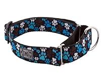 Algopix Similar Product 8 - RC Pets 112 Inch All Webbing