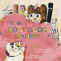 Algopix Similar Product 19 - The Lost Sock Society A story about