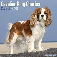 Algopix Similar Product 15 - Cavalier King Charles Calendar  Dog