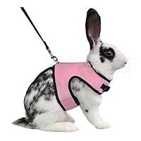 Algopix Similar Product 16 - Niteangel Adjustable Soft Harness with