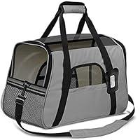 Algopix Similar Product 16 - Paws  Pals Airline Approved Pet