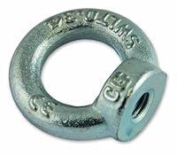 Algopix Similar Product 14 - Chapuis 9016Z Lifting eye nut  Steel