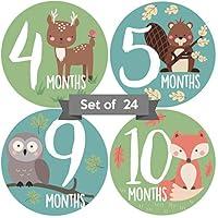 Algopix Similar Product 6 - Baby Monthly Stickers  Woodland