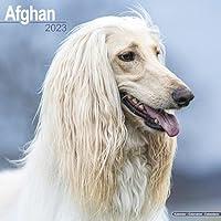 Algopix Similar Product 16 - Afghan Hound Calendar  Afghan Dog