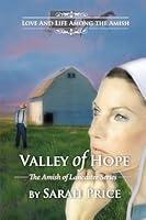 Algopix Similar Product 17 - Valley of Hope An Amish Christian