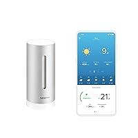 Algopix Similar Product 7 - Additional Module for Netatmo Weather