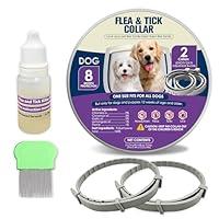 Algopix Similar Product 4 - Flea Collar for Dogs 8 Months Long