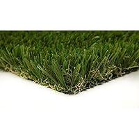 Algopix Similar Product 9 - GREENLINE Classic Premium 65 Fescue 15