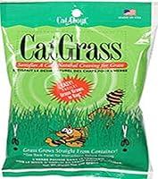 Algopix Similar Product 1 - Gimborn Products CRD76200 Cat Grass