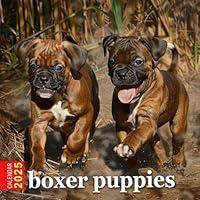 Algopix Similar Product 13 - boxer puppies Calendar 2025 365 Days