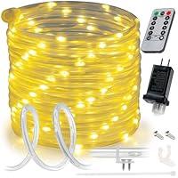 Algopix Similar Product 7 - WYZworks 150ft Warm White LED Rope