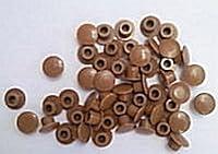 Algopix Similar Product 2 - Celtic Woods Pack of 50 Beech Plastic