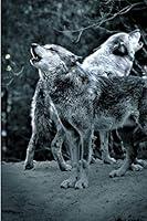 Algopix Similar Product 5 - Journal: Wolf Pack Howl Forest Moonlight