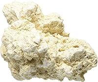Algopix Similar Product 15 - Carib Sea ACS00372 3 case South Sea