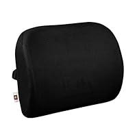 Algopix Similar Product 8 - LoveHome Memory Foam Lumbar Support