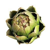 Algopix Similar Product 15 - Li Hua Cat Artificial Artichoke