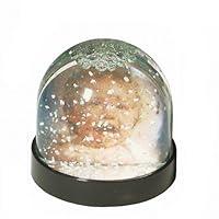 Algopix Similar Product 15 - Dorr Photo Christmas Snow Globe with