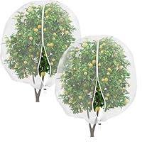 Algopix Similar Product 9 - THMINS 2 Pcs 6x7ft Large Fruit Tree