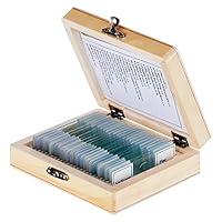 Algopix Similar Product 8 - AmScope PS25 Prepared Microscope Slide