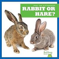 Algopix Similar Product 15 - Rabbit or Hare Bullfrog Books Spot