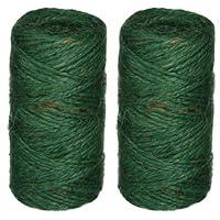Algopix Similar Product 2 - Bond Green Jute Garden Indoor and